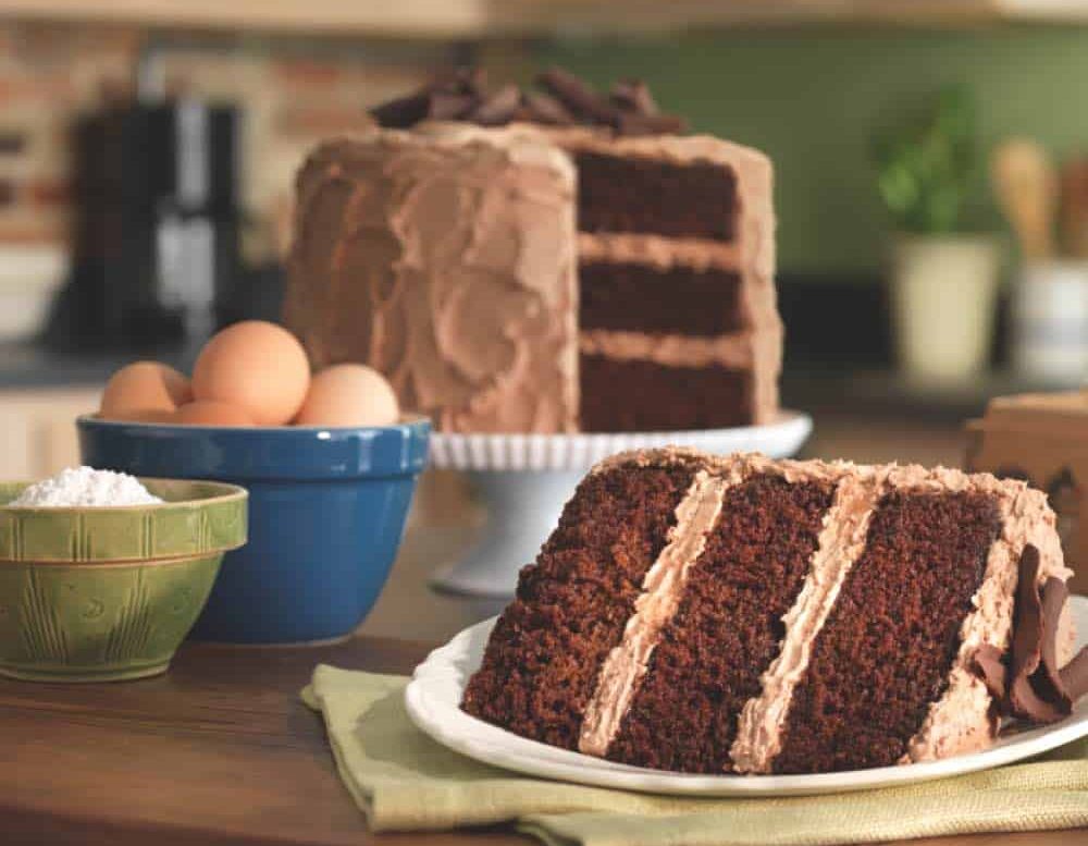 Slice Of Frosted Chocolate Cake