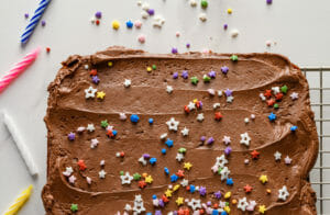Chocolate Frosted Cake With Sprinkles